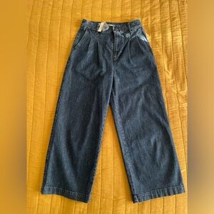 Madewell Pleated Wide-Leg Jeans